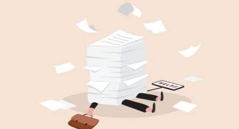 WhatsApp Image 2025-11-20 at 11.05.24